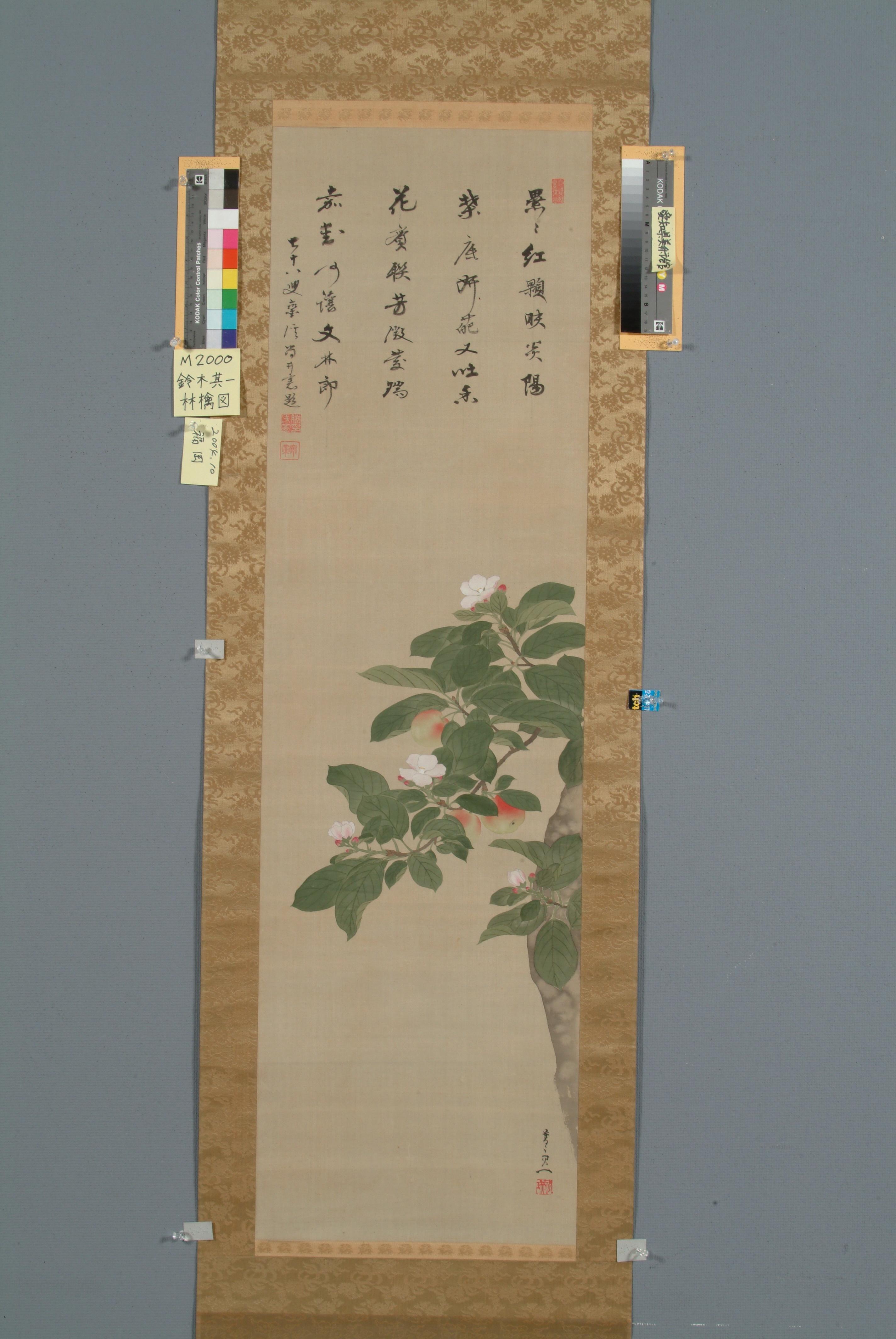 作品画像