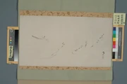 作品画像