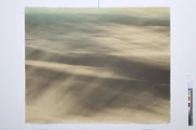 作品画像
