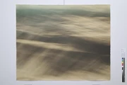 作品画像