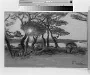 作品画像