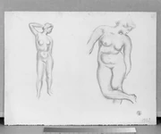 作品画像