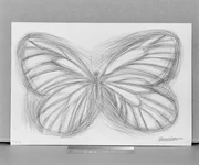 作品画像
