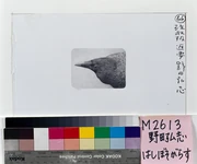 作品画像
