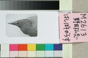 作品画像