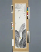 作品画像