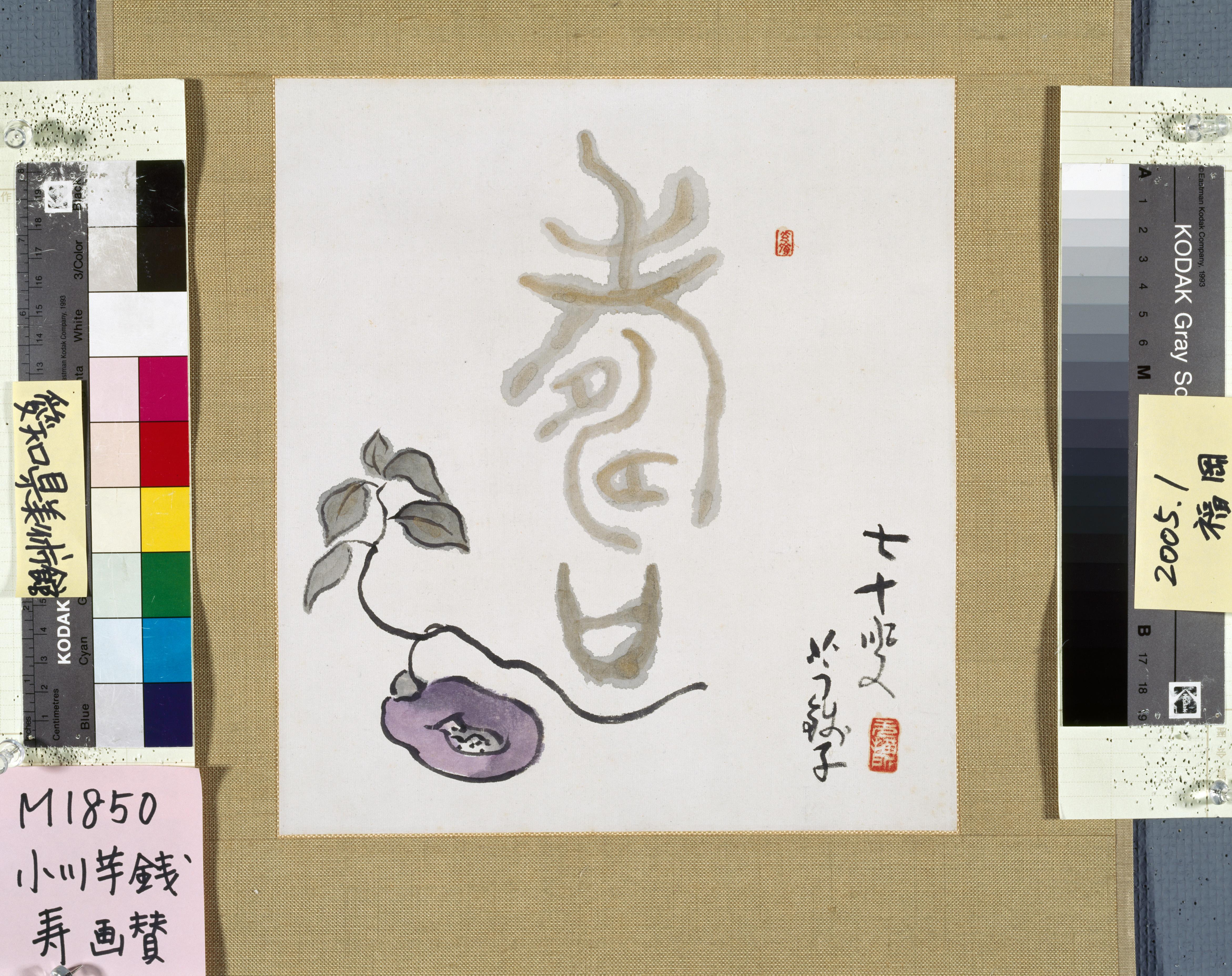 作品画像