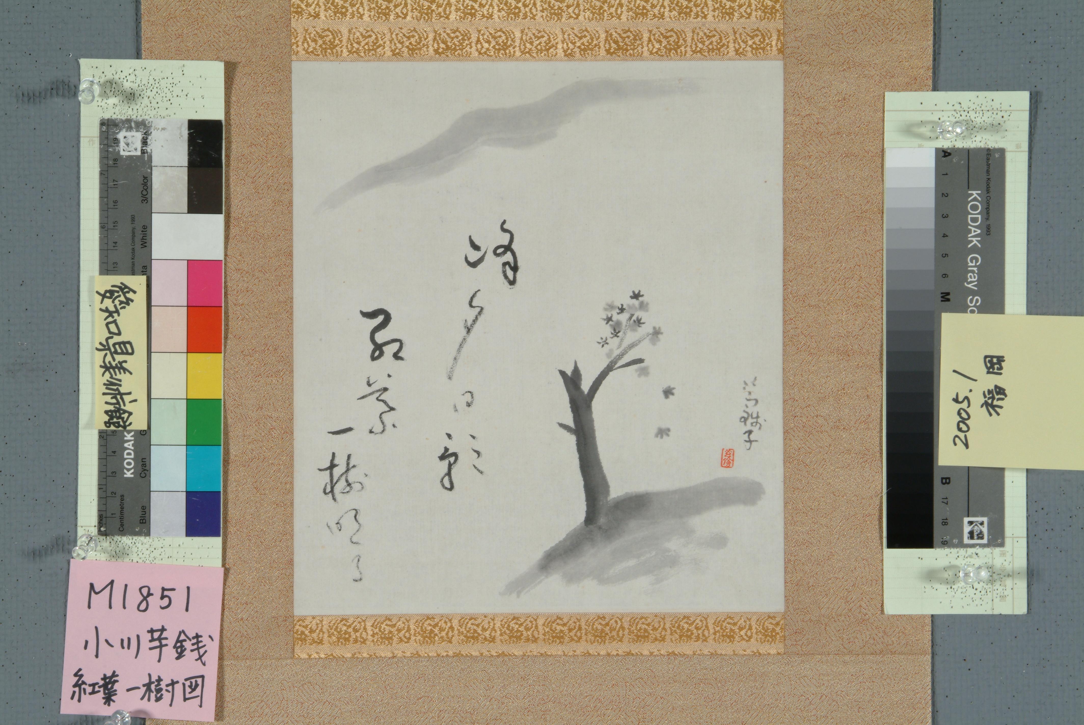 作品画像