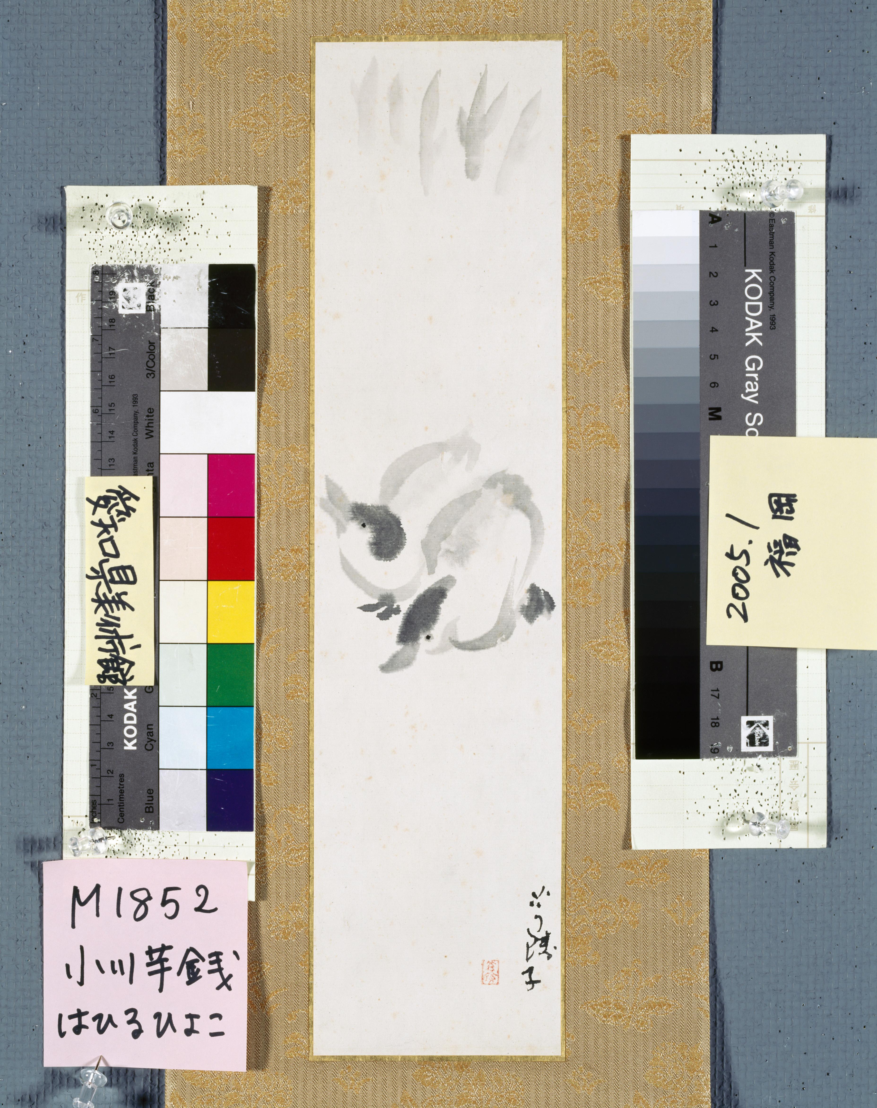 作品画像