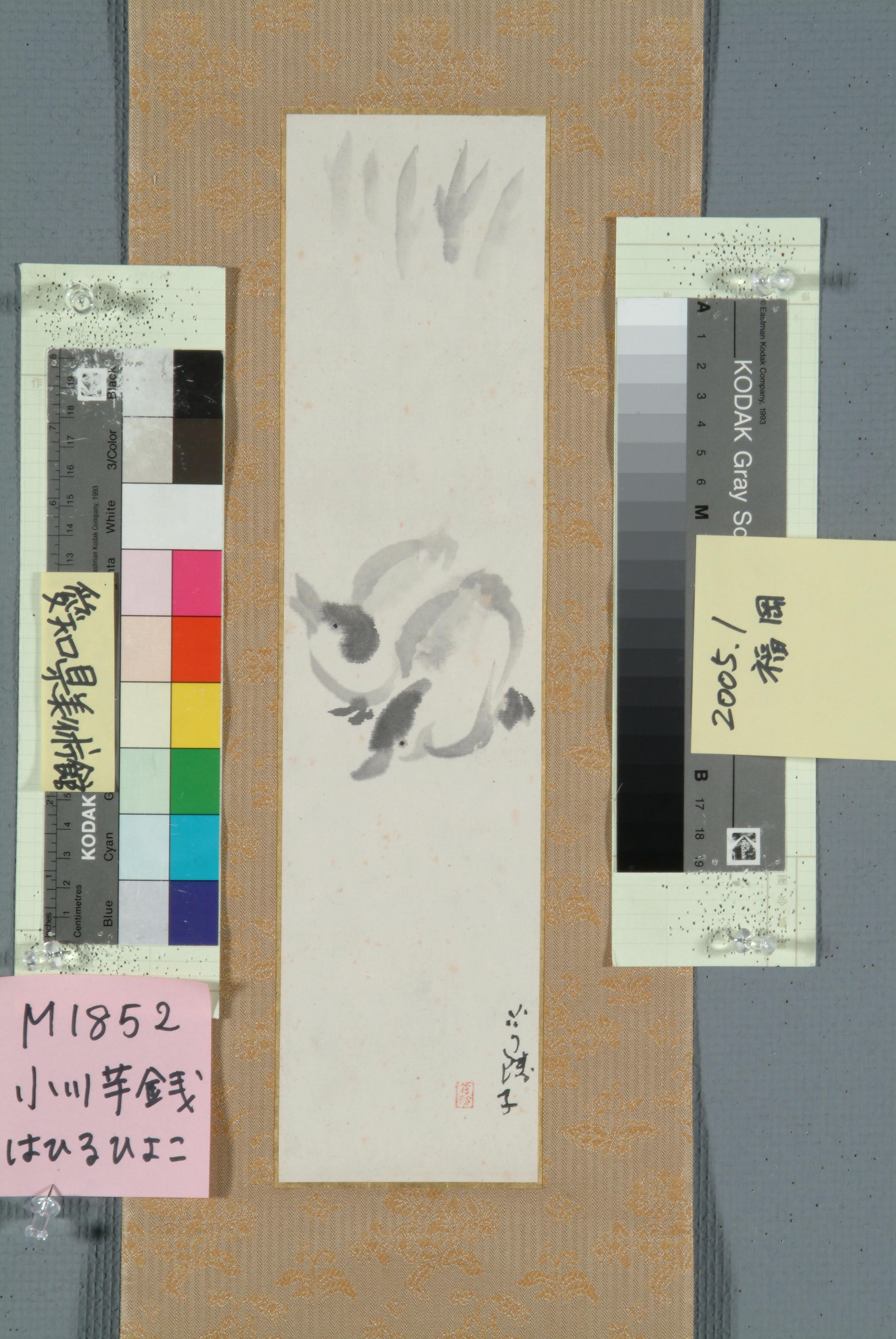 作品画像
