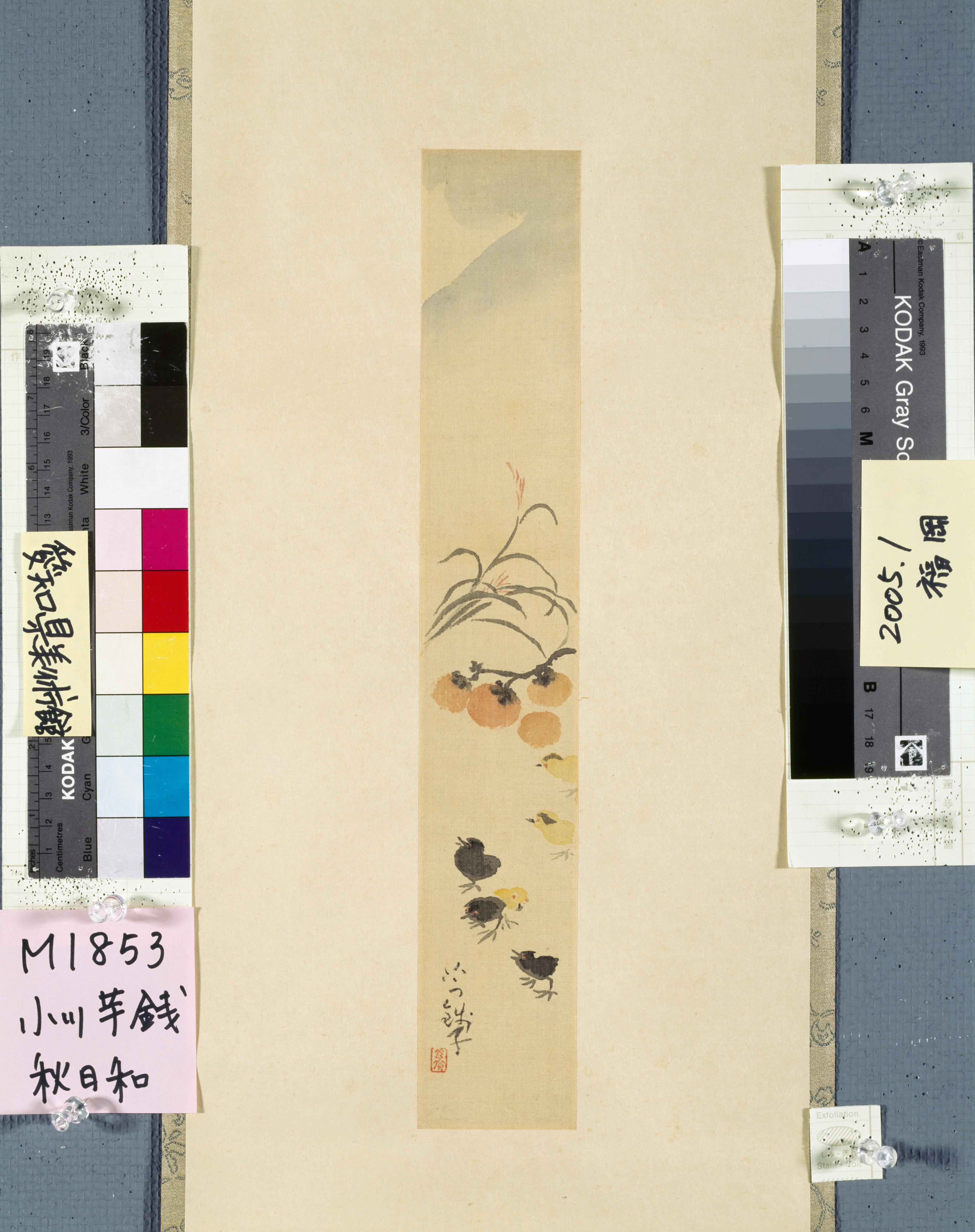 作品画像