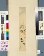 作品画像