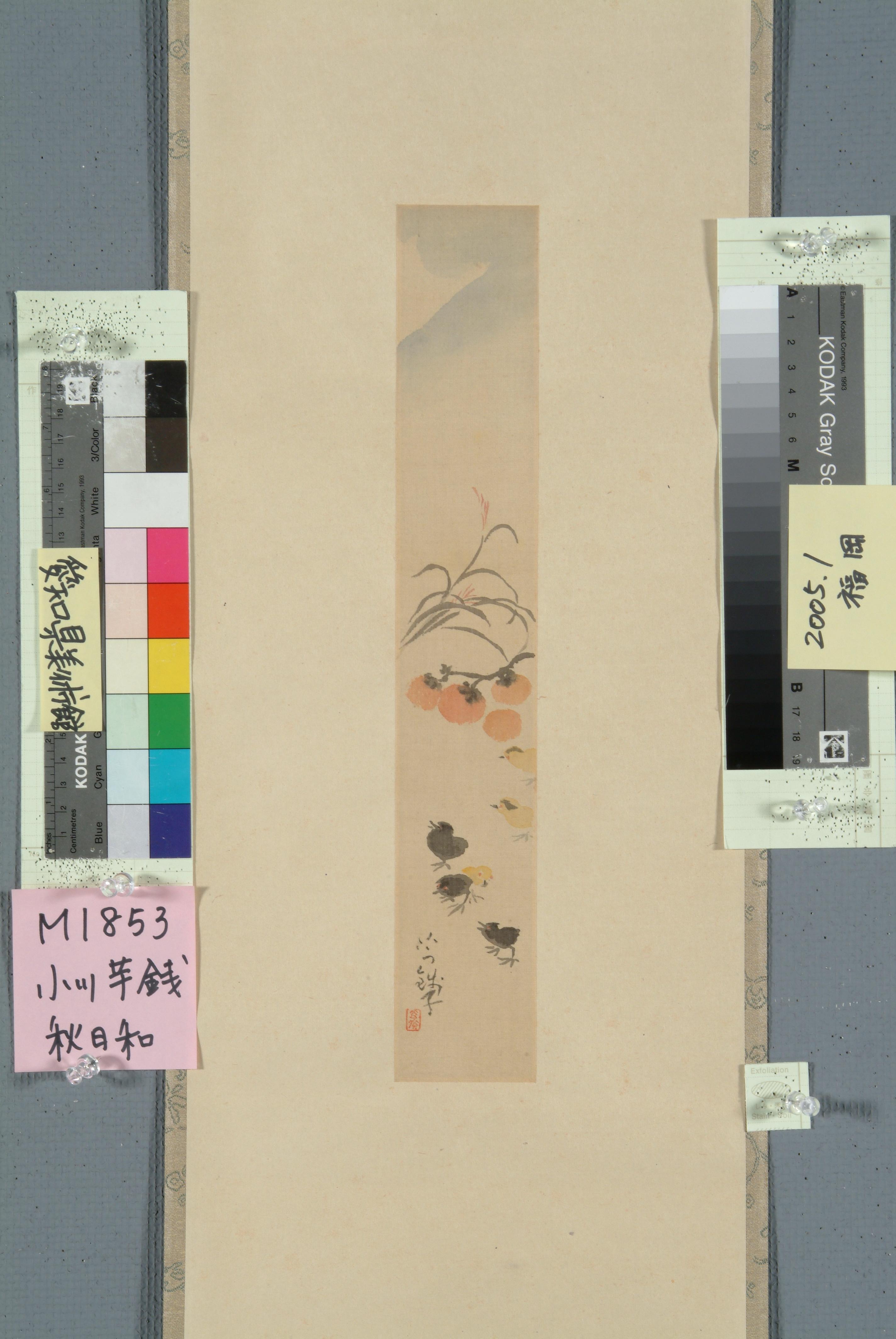 作品画像
