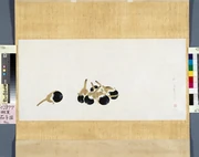 作品画像