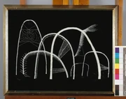 作品画像