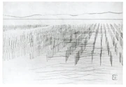 作品画像