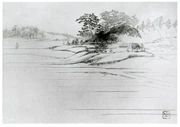 作品画像