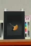 作品画像