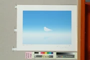 作品画像
