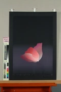 作品画像