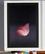 作品画像