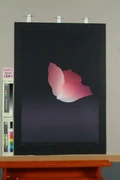 作品画像