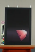 作品画像