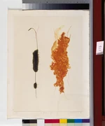 作品画像