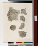 作品画像