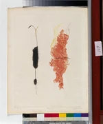 作品画像