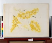 作品画像