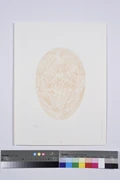 作品画像