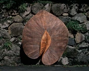 作品画像