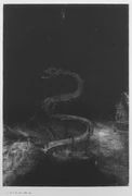 作品画像