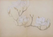 作品画像