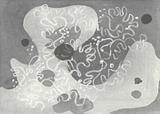 作品画像