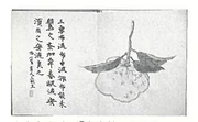 作品画像