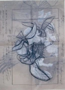 作品画像