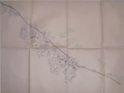 作品画像