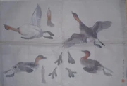 作品画像