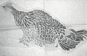 作品画像