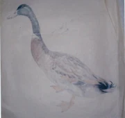 作品画像