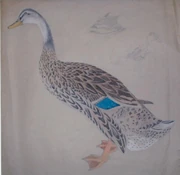 作品画像