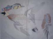 作品画像