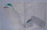 作品画像