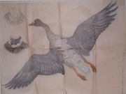 作品画像