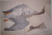 作品画像