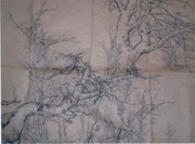 作品画像