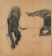 山口華楊《《黒豹》大下絵》 | アートプラットフォームジャパン（APJ）