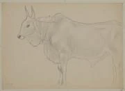 作品画像
